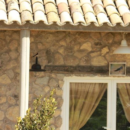 Hotelmirador Las Grullas Montmesa Extérieur photo